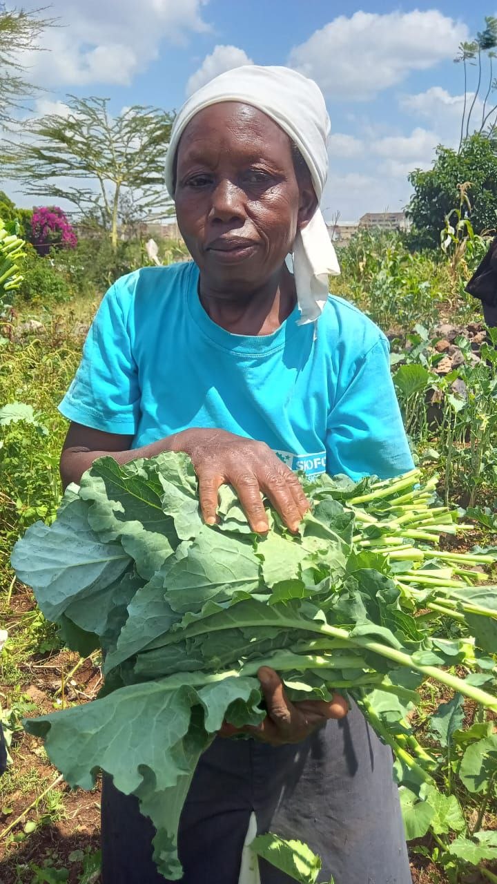 Food security initiatives