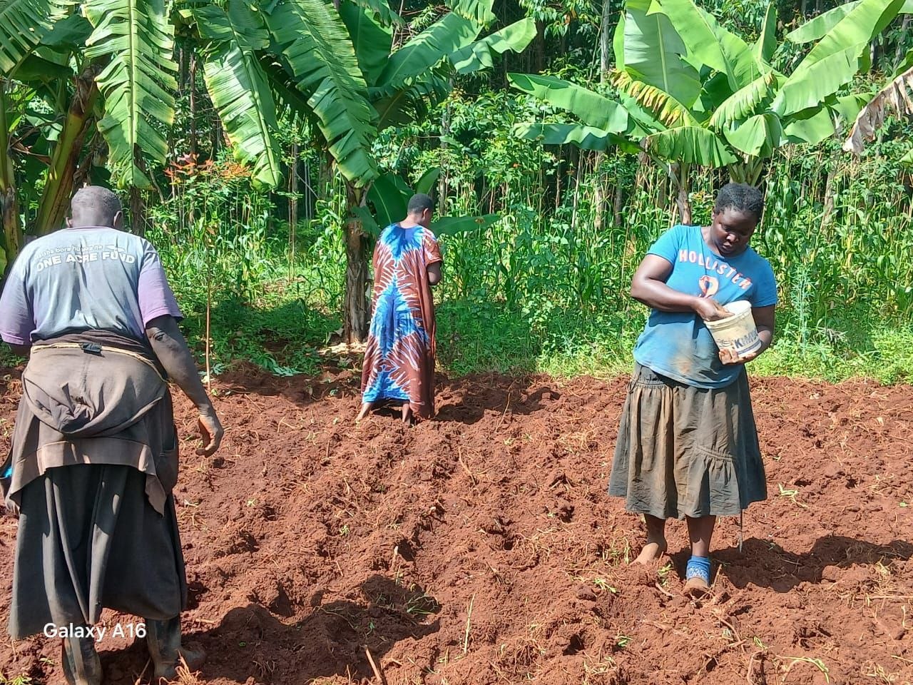 Farmers practicing sustainable agriculture
