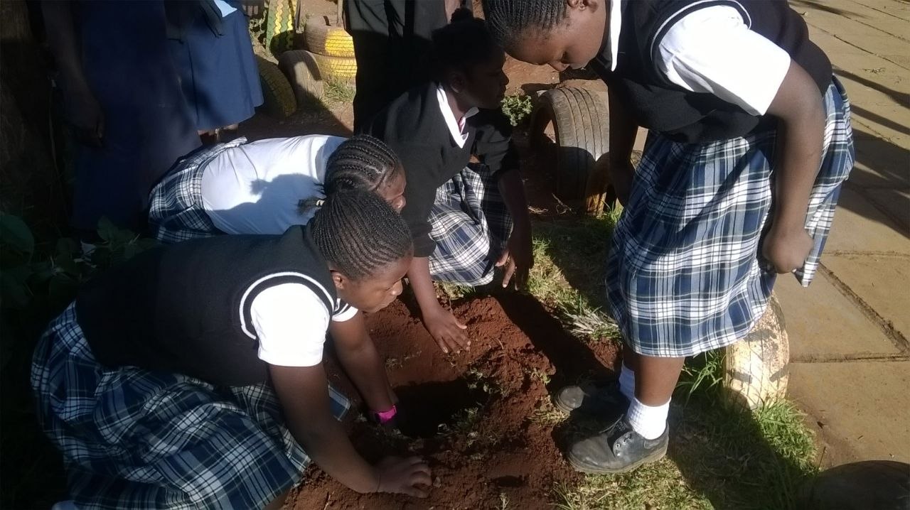 HOYWIK mission and community work