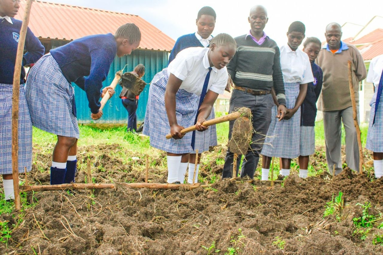 HOYWIK food security activity